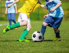 詹姆斯创,新纪录,东契奇巅峰,香港赛马会,香港马会,赛马赛事,马术资讯