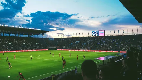 新西兰世界杯之旅圆满，克里斯-伍德晋级获诺丁汉森林官方点赞祝贺